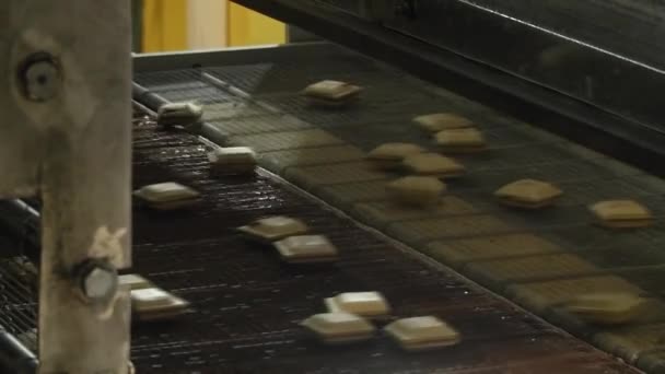 Production de confiseries. La ligne pour la production de chocolats dans un boîtier à gaufres 