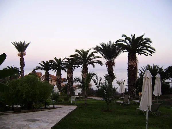 Cyprus Pathos Coastline Embankment — Stock Photo, Image