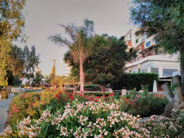 Limasol. Kıbrıs. Güzel sahil. Turizm bölgesi.