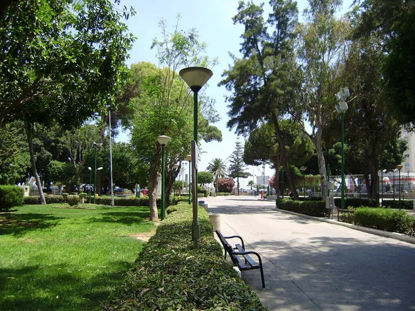 Belediye parkı. Limasol. Cyprus. Turistik bölge.. 