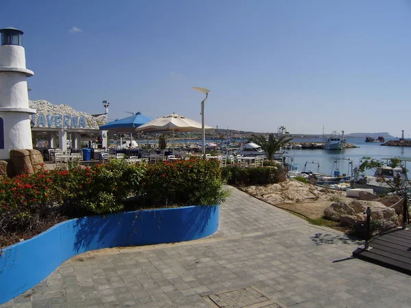 Zypern Ayia Napa Die Küste Des Mittelmeeres Küste Strände — Stockfoto