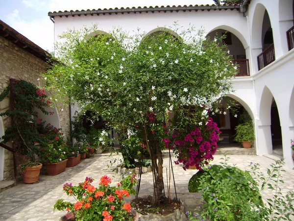 Kıbrıs. Toprak seti. Tuzistichesky bölgesi. Manzaralar. Akdeniz. 