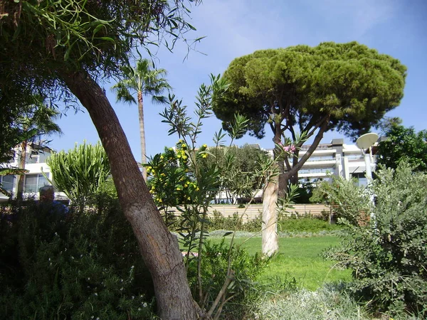 Zypern Limassol Uferpromenade Touristengebiet Sehenswürdigkeiten Von Zypern Mittelmeer Meerblick Straße — Stockfoto