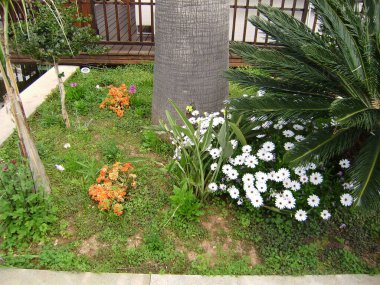 Kıbrıs. Limasol. Turistik bölge. Kıbrıs manzarası. Rahatlama. Kıyı şeridi. Kıbrıs 'ın doğası.