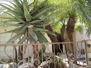 Kıbrıs. Limasol. Akdeniz 'in manzarası. Turizm bölgesi.