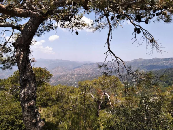 Kıbrıs. Protaras. Akdeniz. Turistik bölge.. 