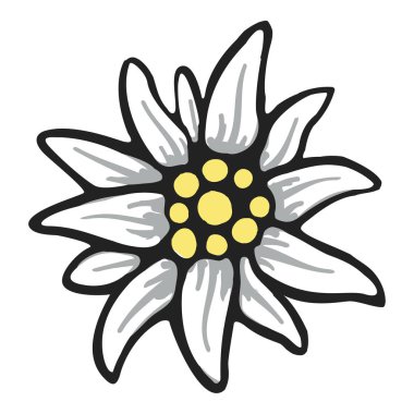 Download Edelweiss Flower Logo Free Vector Eps Cdr Ai Svg Vector Illustration Graphic Art
