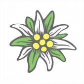 Edelweiß Blume Symbol Vektor Alpine Symbol flach Web Zeichen Symbol Logo-Etikett