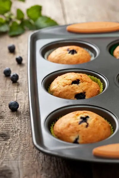 Muffins with blueberries — Stock Photo, Image