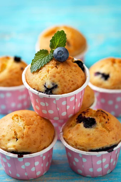 Blueberry muffins in pink cases — Stock Photo, Image