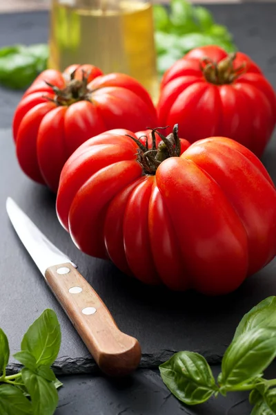 Fresh tomatoes and basil — Stock Photo, Image