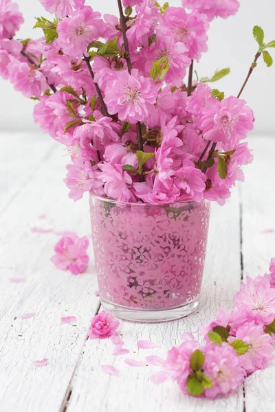 Sakura boeket in een vaas — Stockfoto