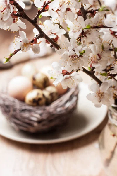 Easter decoration blossom twig — Stock Photo, Image