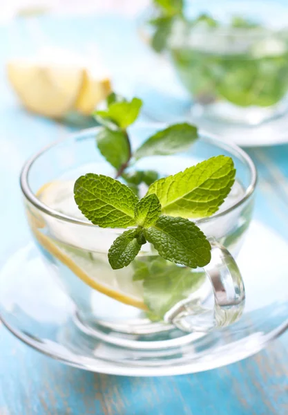 Cangkir teh dengan mint segar — Stok Foto