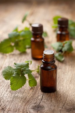 nane esansiyel yağı 