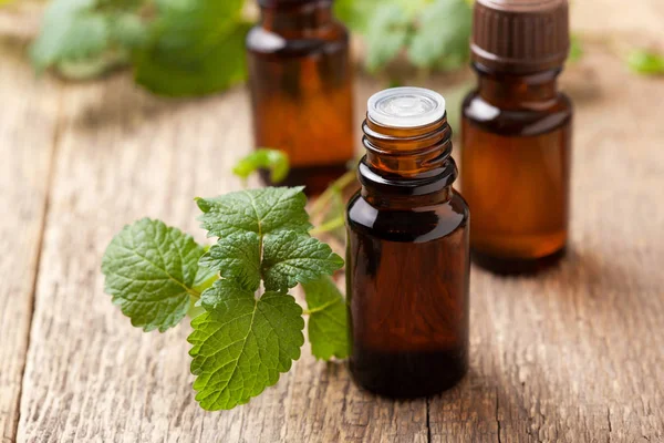 Mint essential oil — Stock Photo, Image