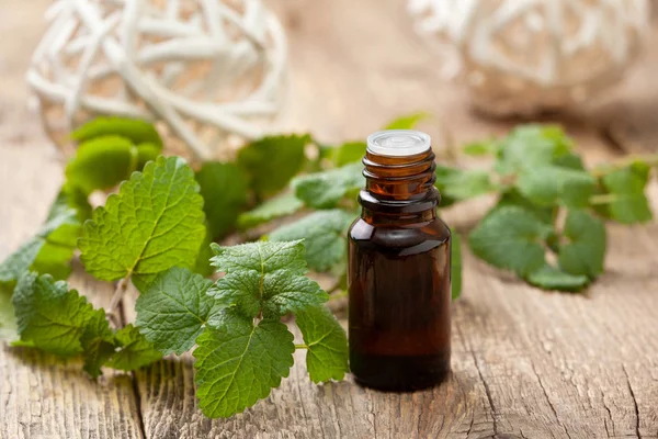 nane esansiyel yağı 