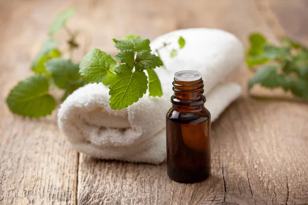 Mint essential oil — Stock Photo, Image