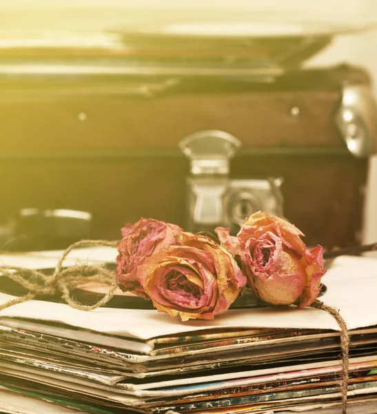 Droge rose op oude records — Stockfoto