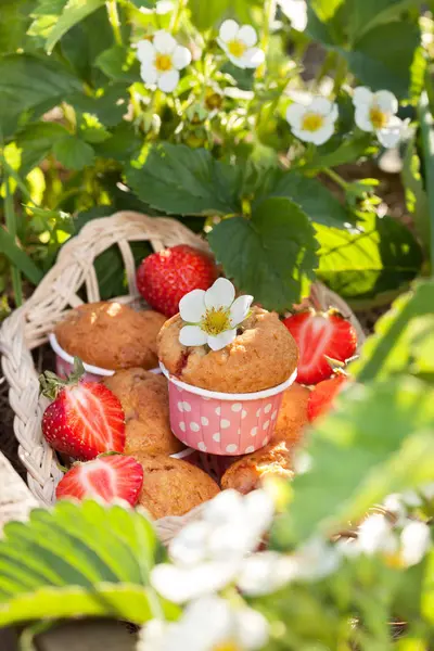 Muffins mit Erdbeeren — Stockfoto