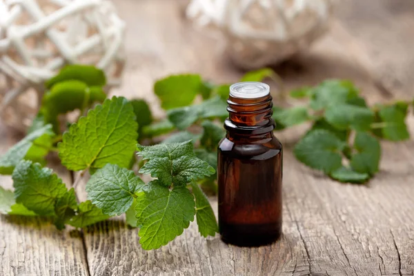 Bottle with essential mint oil — Stock Photo, Image
