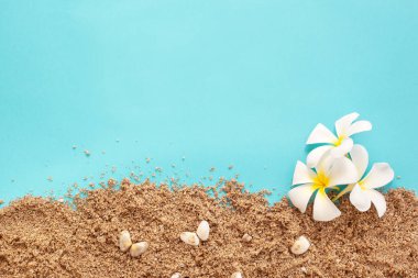 Yaz Tatili Konsepti. 