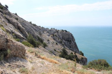 Okyanus ve kayalar güneşli bir günde