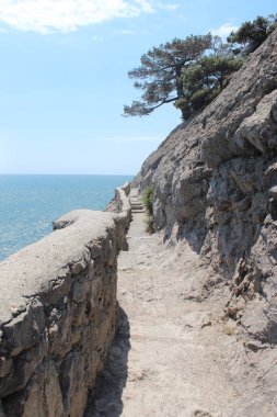 İzler deniz kıyısındaki kayaya bırakıldı.