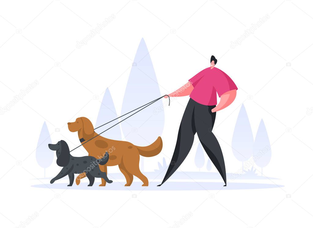 Vector illustration of cheerful guy in casual clothes walking with dogs on leashes and smiling while spending time at park