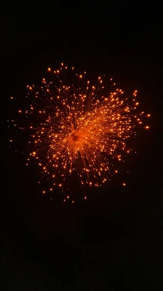 Feuerwerk Der Nacht Der Nachbarschaft — Stockfoto