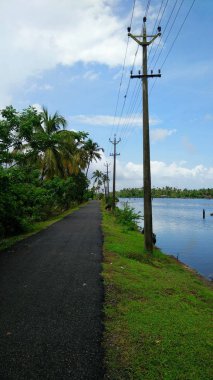 Yaprağın üzerinde kelebek