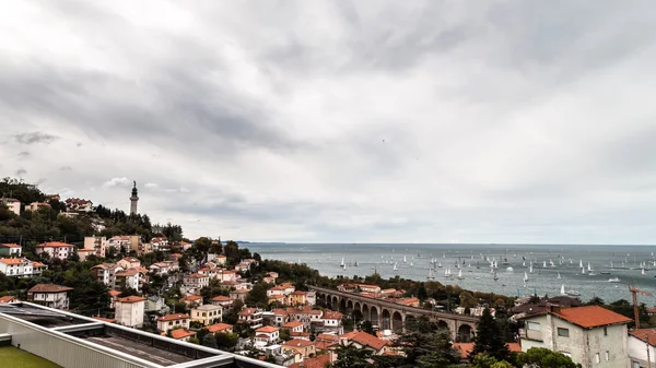 Regata de barcolana de trieste — Fotografia de Stock