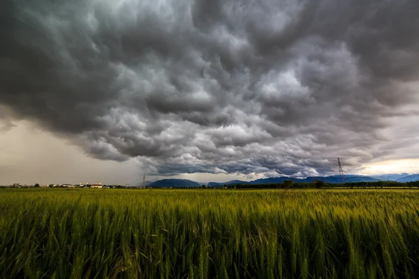 Sturm über den Feldern — Stockfoto