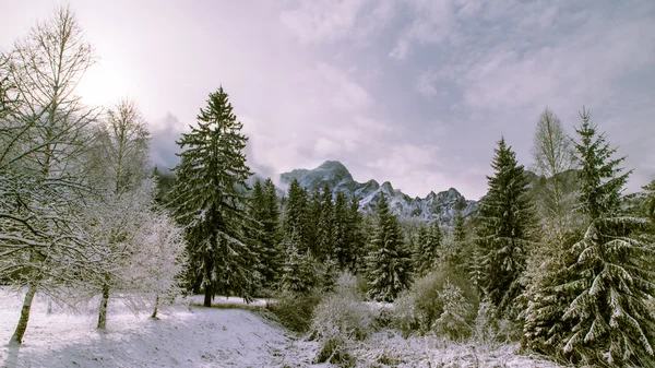 山で初雪 — ストック写真