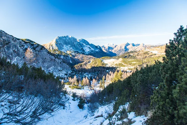意大利阿尔卑斯山冬季的一天 — 图库照片