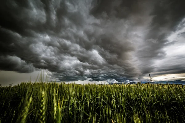 Storm over de velden — Stockfoto