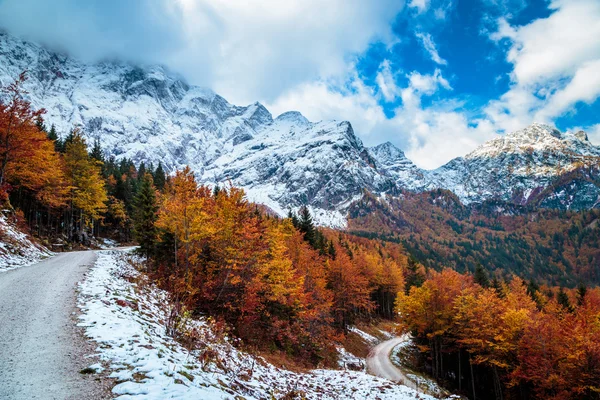 Caminho de trekking em um dia de outono nos alpes — Fotografia de Stock
