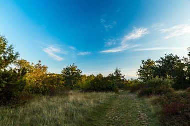 Val Rosandra sonbahar akşam