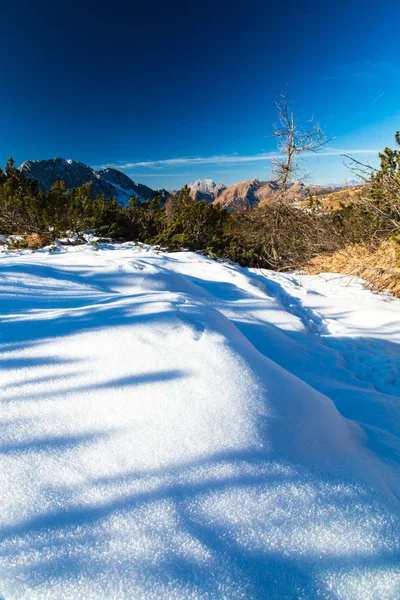 Winterdag in de Italiaanse Alpen — Stockfoto