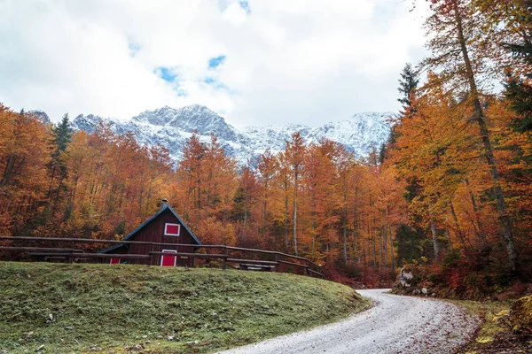 Autumn sunset in the alpine valley — Stock Photo, Image