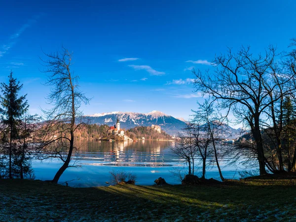 Ochtend om het meer van Bled — Stockfoto