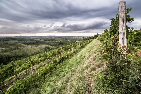 Tormenta sobre los campos — Foto de Stock