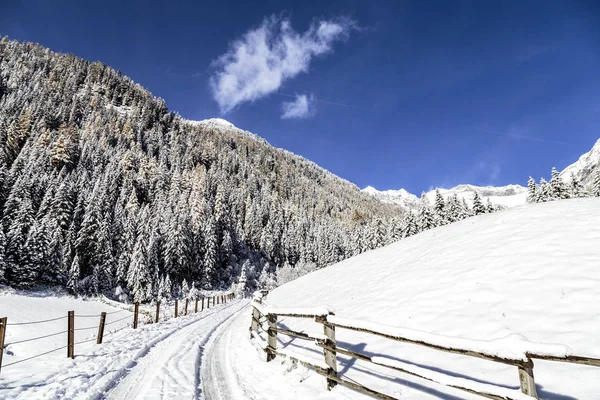Giornata di sole sulle Alpi dopo la nevicata — Foto Stock