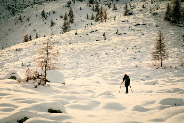 Trekking de chica con raquetas de nieve en la madera — Foto de Stock