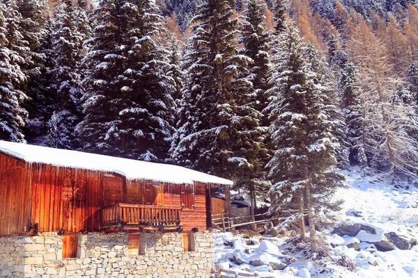 Cabane alpine couverte de neige — Photo