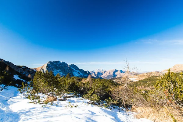 Winterdag in de Italiaanse Alpen — Stockfoto