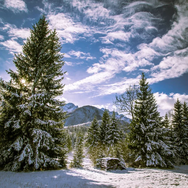 Der erste Schnee am Berg — Stockfoto