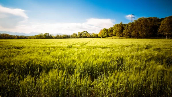 Fält av Italien i en vårdag — Stockfoto