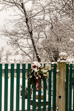 Noel zamanında tarafından kar kaplı kapısı