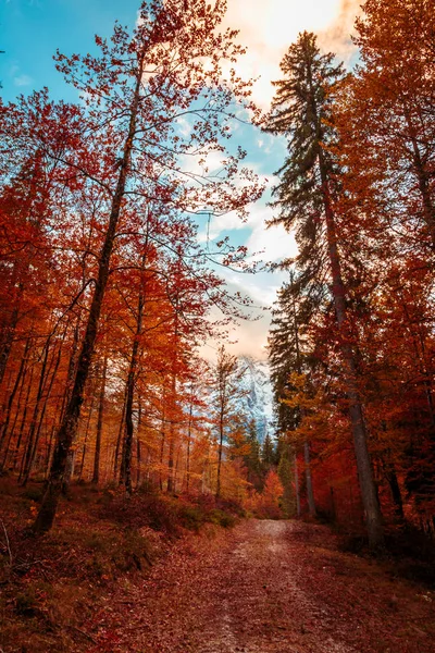 Trekking pad in een herfstdag in de Alpen — Stockfoto